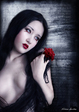 The Art of Liliana Sanches