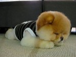 pics_081