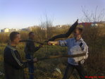 дуель на ц\п старых бкашникоффффф