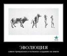 Эволюция