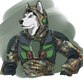Stalker (28)