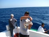 queen fish