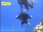 vlcsnap-2010-05-18-16h37m58s225