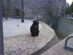 DSC00778