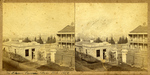 Сидней1855