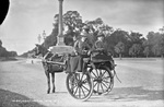 irkuts1890_3