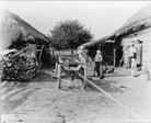 Село Бородино. 1867_6