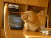 DSCF0055.JPG