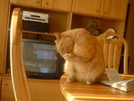 DSCF0055.JPG