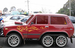 20061127-niva[1]