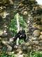 juuni_Helme_042
