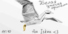 l_7f1a0706