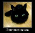 getImage