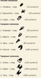 следы