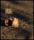 podborka_621_46