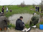 podborka_681_39