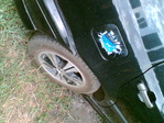Image(035)