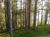 IMG_20160705_190430