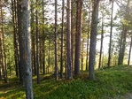 IMG_20160705_190430