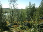 20130803_153248