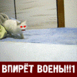 58