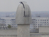 Приблизил )