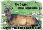 ni_u_kogo_ne_vzql.JPG