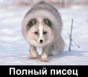 Хуже двух худых...