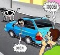 взаимовежливы и предупредительны...
