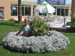 Египет 2008