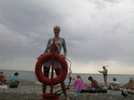Хоста 151