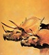 ma_FofI_Grant_Triceratops.jpg