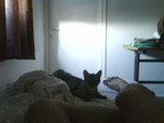 DSC00070