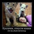 Отпусти кошек )))