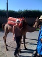 photo(3)