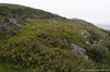 photo_056