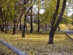 аллея