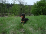 DSC01784.JPG