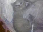 Знедели.jpg