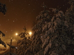 DSC04230