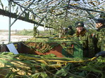 КНП