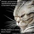 злой гений[1]