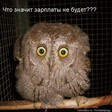 зарплаты не будет[1]
