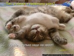 упал[1]