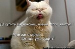 жмоты[1]