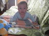 prodam persa v reale.860311534--vilnius