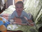 prodam persa v reale.860311534--vilnius