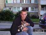 prodam persa v reale.860311534--vilnius