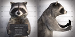 levi-ks-raccoon-bandit-all-03