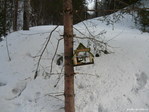 Домик Cptn